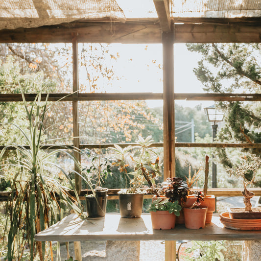 The 4 R’s of Nutrient Management