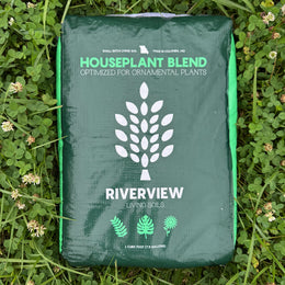 Houseplant Blend